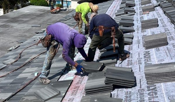 down-net_http20260401-154-n0s7y5