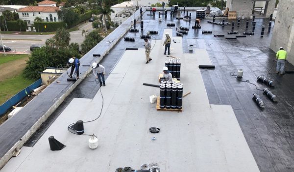 down-net_http20260401-155-669uz8